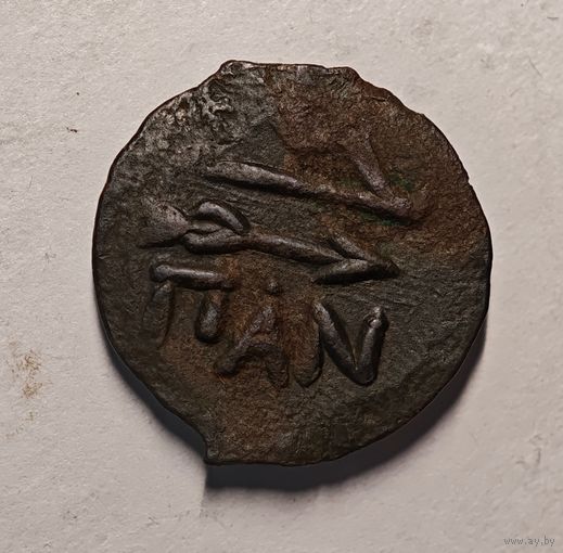 Пантикапей