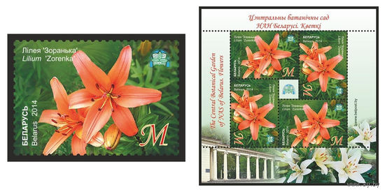 2014 БЕЛАРУСЬ  марка или малый лист   "Лилия "Зоренька"" MNH