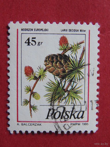 Польша 1995 г.