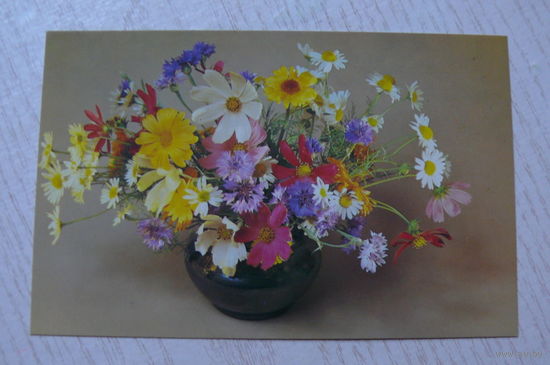 Савалов Е., Композиция из цветов, 1983, чистая (9*14 см).