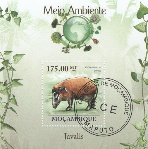 Мозамбик ,,Фауна,, 2010г