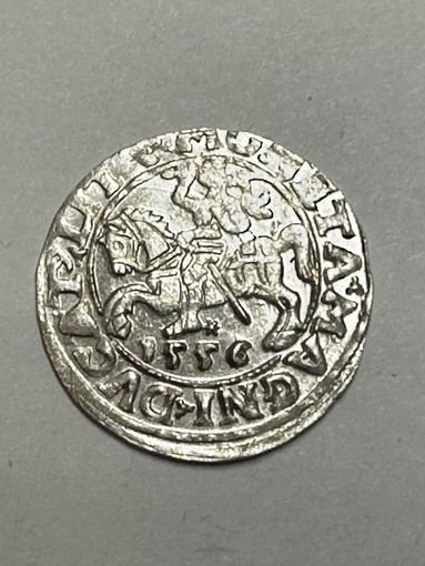 Полугрош 1556. Перерезка DVCAT из DVCT. RR! Вильно. Штемпельный блеск. Коллекционное состояние.