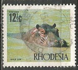 Родезия. Бегемот. 1970г. Mi#95.
