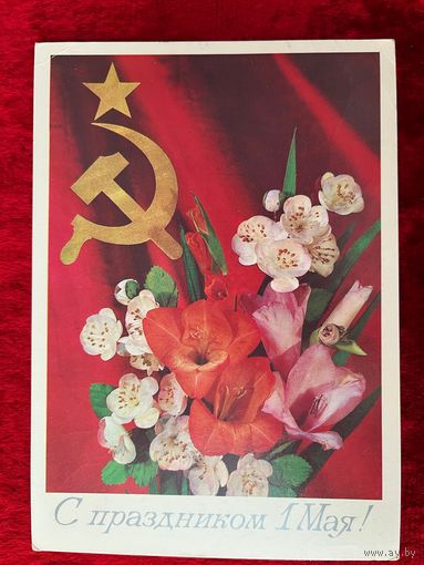 С праздником 1 Мая! 1985 год. И. Дергилев. Подписана!