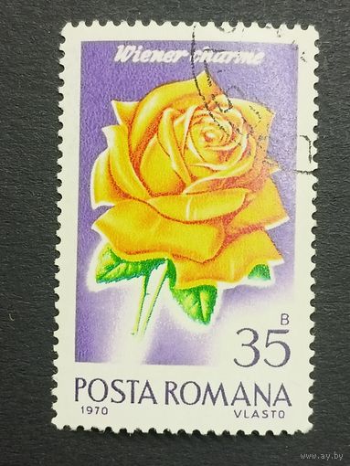 Румыния 1970. Розы
