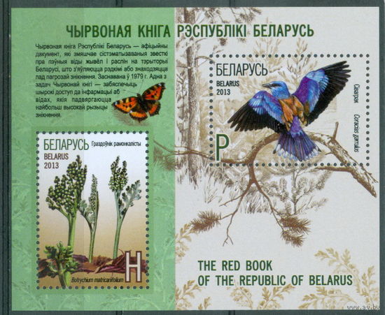2013. 944-945. Гроздовник ромашколистный. Сизоворонка Блок **