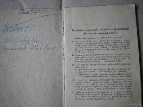 Паспорт на лошадь Польша 1934год