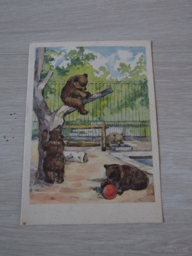 На площадке молодняка  худ.  Масленникова