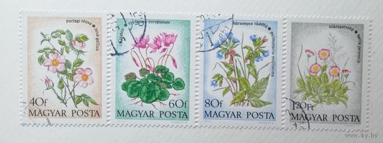 Венгрия 1973 / флора / цветы полевые//4 марки из серии