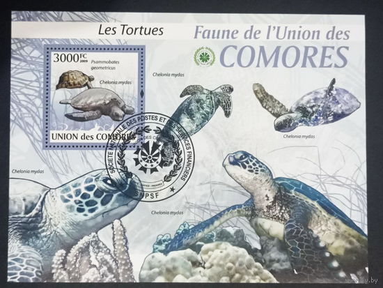 ЛИСТ ФАУНА ящеры рептилии СТО