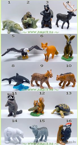 Игрушки из серии "Животные Северной Америки" (киндер)