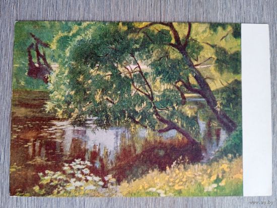 1954. Мясникова. Ивы над прудом