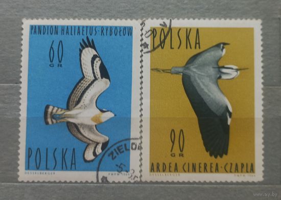 Польша. 1964г. Фауна.
