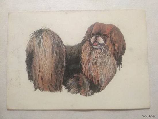 Карманный календарик. Собака.1994 год