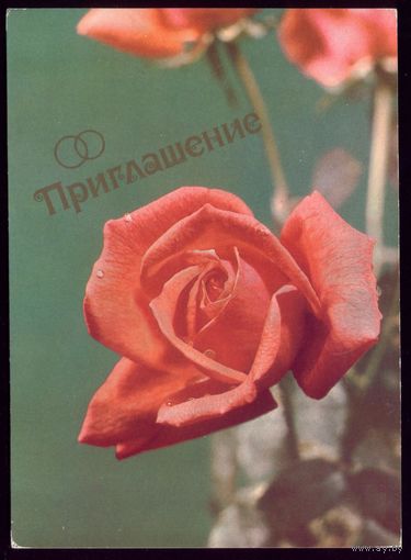 1987 год Б.Мяэметс Приглашение чист