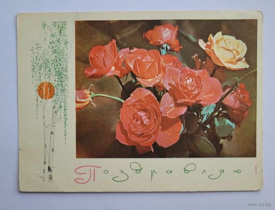 Почтовая карточка СССР 1969 г., "Поздравляю!", И. Филиппов, фото А. Геодакова.