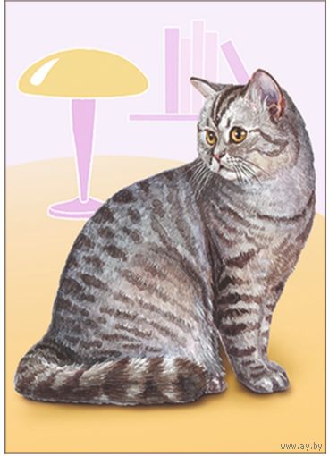 Кот. Из серии "Домашние питомцы" Открытка, глянец