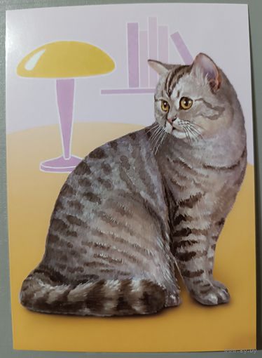 Кот. Из серии "Домашние питомцы" Открытка, глянец