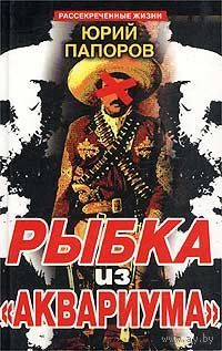 Юрий Папоров. Рыбка из `Аквариума`