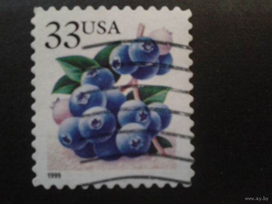 США 1999 стандарт, черника
