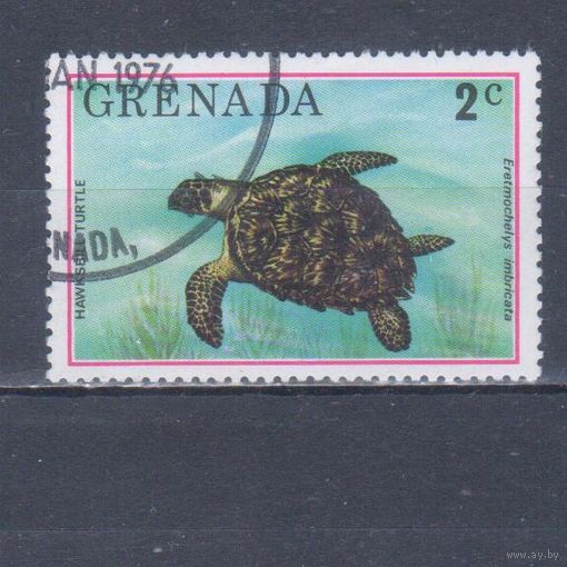 [1638] Гренада 1976. Фауна.Черепаха. Гашеная марка.