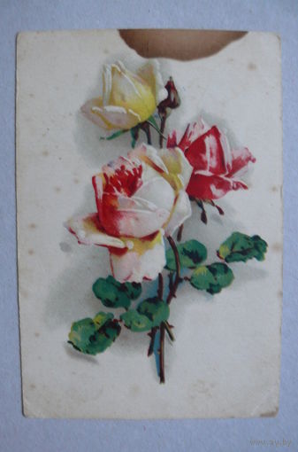 Розы, подписана (изд. Рига).