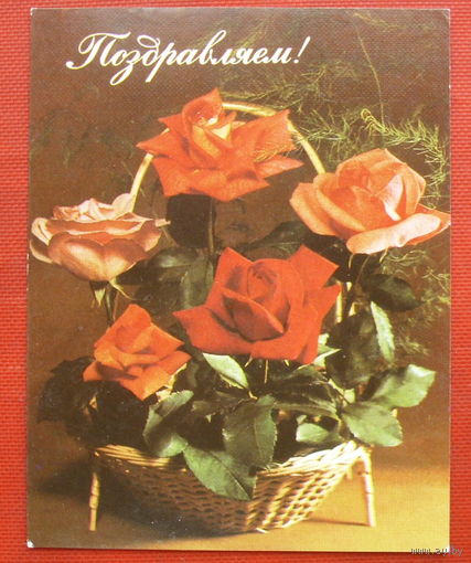 Поздравляем! Чистая. 1984 года. Круцко. Мини.