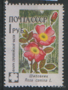 Заг. 2416. 1960. Шиповник 1р. ЧиСт.