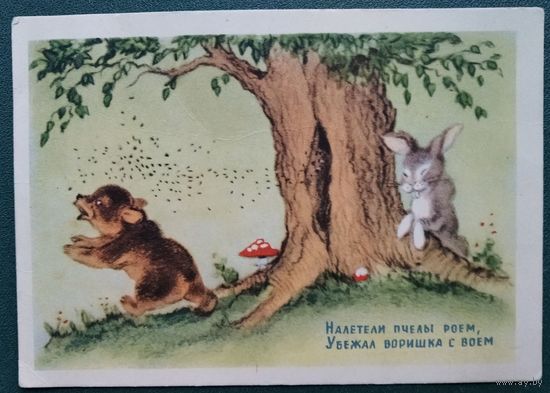 Ушакова Н. "Налетели пчелы роем" 1954 г. Чистая