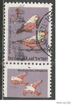 Израиль. Птицы. Пустынный снегирь. 1995г. Mi#1333.