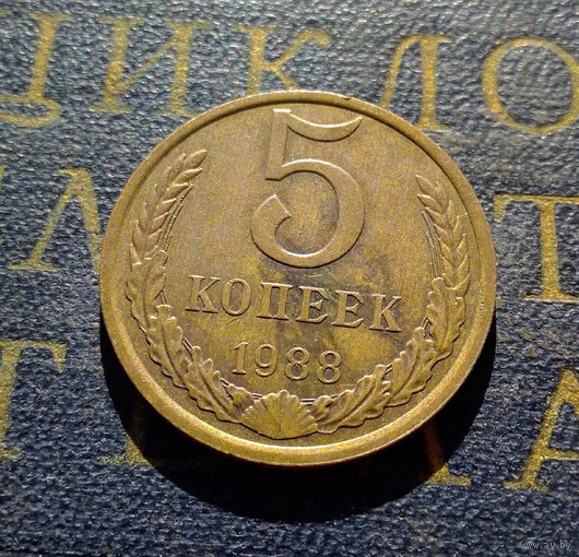5 копеек 1988 СССР #11