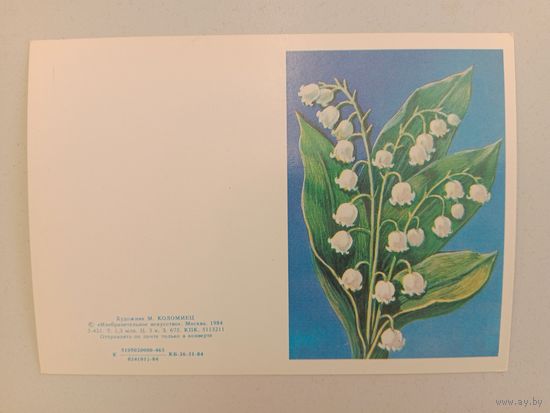 Открытка,Коломиец,чистая,1984