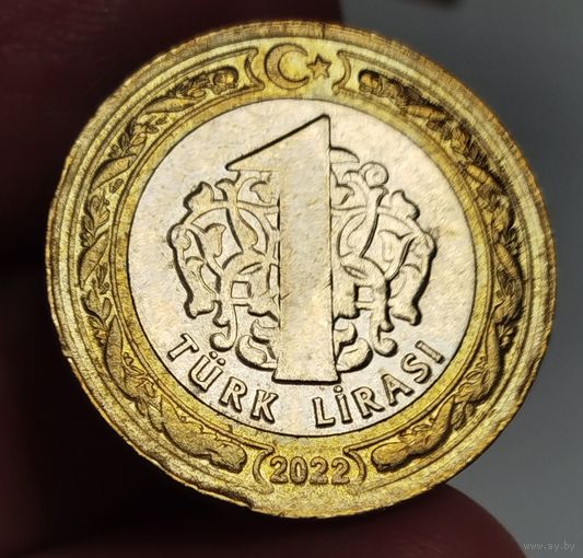 1 лира Турция 2022