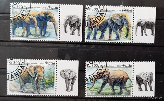 АНГОЛА 2018 ФАУНА ЖИВОТНЫЕ СЕРИЯ СТО