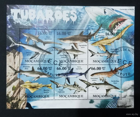 ЛИСТ ФАУНА рыбы морские обитатели  СТО