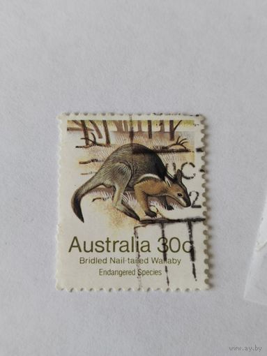 Австралия 1991