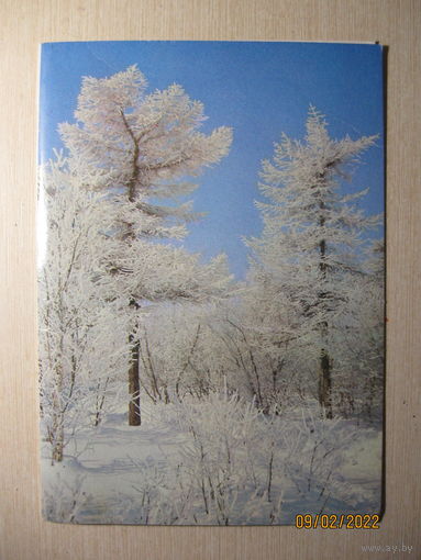 Петренко Ф. 1988 г.