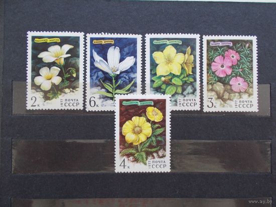 Флора. СССР. Горные цветы. 1977г. Полная серия. MNH**. (С)