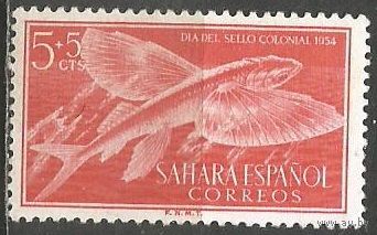 Испанская Сахара. Рыбы. Обыкновенный долгопёр. 1954г. Mi#147.