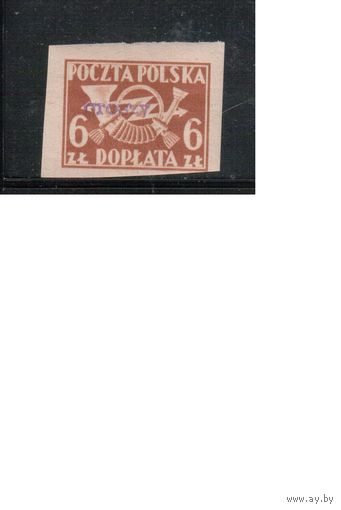 Польша-1946,(Мих.129В)  ** , Служебные марки, Доплата, Надп.(1)