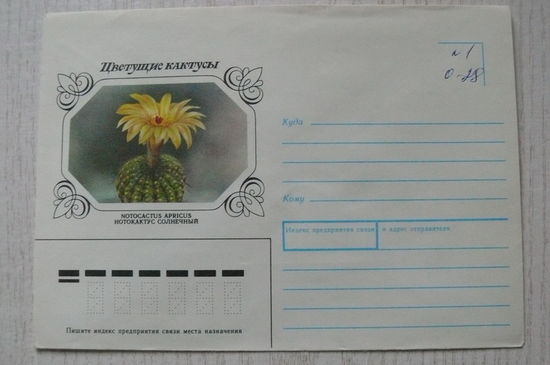 1983, 1990, ХНМК, Горинов К., Нотокактус солнечный, из серии "Цветущие кактусы".