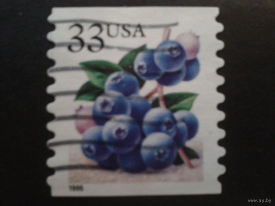 США 1999 стандарт, черника