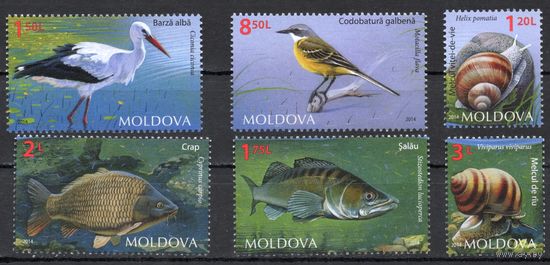 Молдова 2014. Фауна водоёмов. Птицы, рыбы, улитки. 6 марок (528)