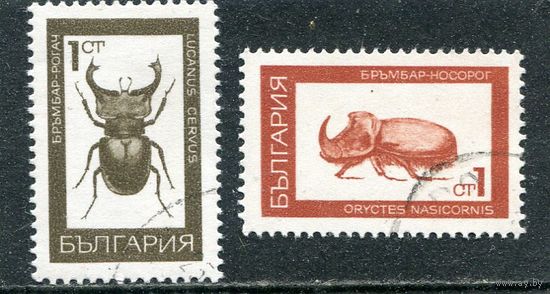 Болгария. Жуки