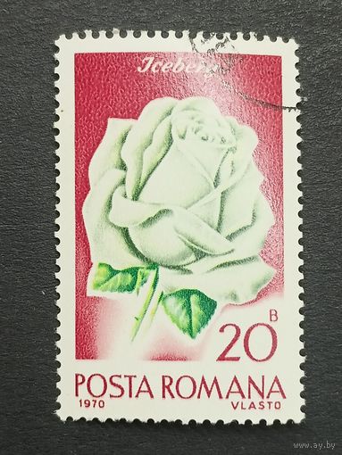 Румыния 1970. Розы