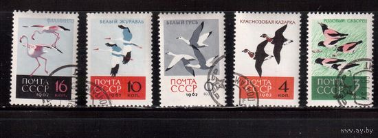 СССР-1962, (Заг.2703-2707)  гаш. , Фауна, Птицы( на фото образец, остальные не хуже)