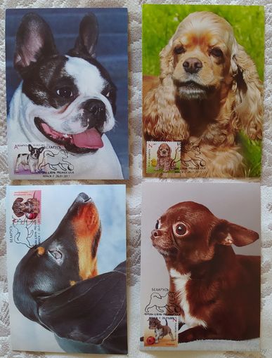 Беларусь 2017 КМ Щенки.