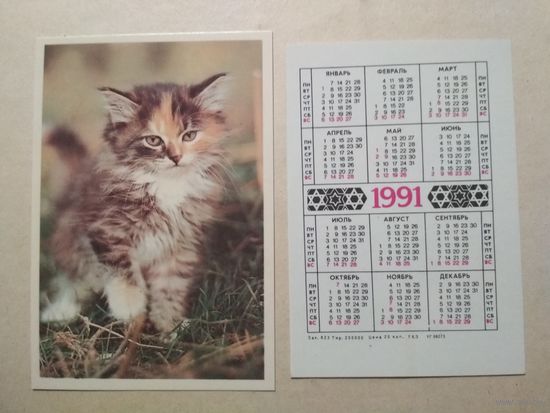 Карманный календарик. Котик. 1991 год