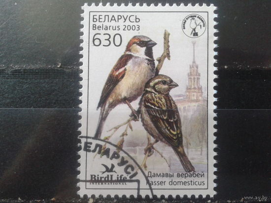 2003 Воробей