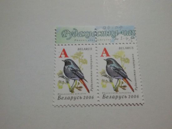 Стандарт 2006. А. Ошибки печати на двух марках (_096)